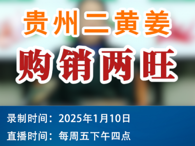 農情漫談：貴州二黃姜購銷兩旺 ()