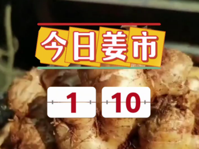 1月10日廣州江南批發市場生姜價格行情 ()