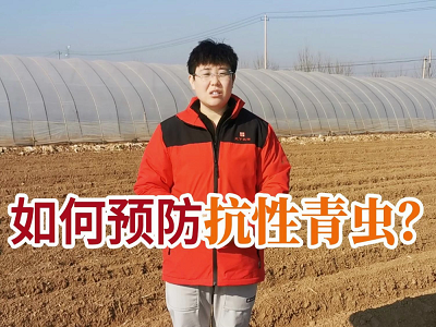 如何預防抗性青蟲？ (181播放)