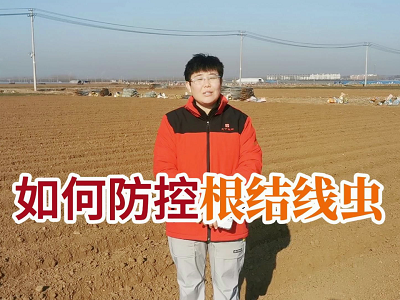 如何防控根結線蟲？ (282播放)
