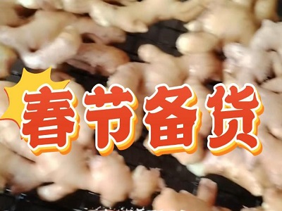 1月13日 生姜價格行情（春節備貨開始） (152播放)