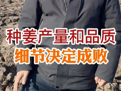 種姜產(chǎn)量和品質(zhì)--細節(jié)決定成敗 (148播放)