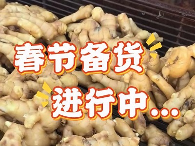 1月15日 生姜價格行情（春節備貨進行中） (173播放)