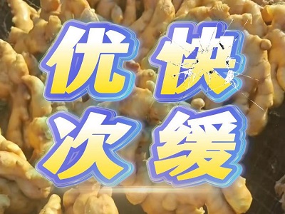 1月17日 生姜價格行情（優快次緩） (165播放)