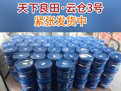種姜時土壤容易出現哪些問題？ ()