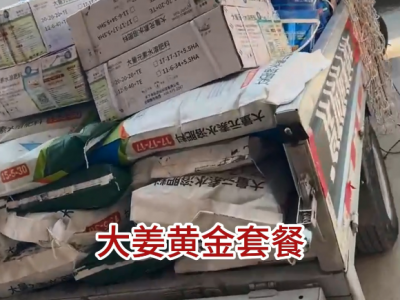 天下良田·中姜網大姜黃金套餐送貨到家 ()