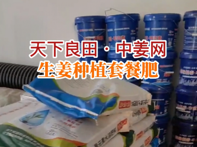 河南王老師大姜黃金套餐肥送貨到家 ()