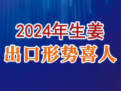 老石說姜：2024年生姜出口形勢喜人 ()