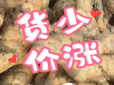 1月22日 安丘黑埠子（貨少價漲） ()