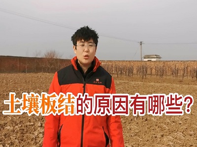 土壤板結的原因有哪些？ ()