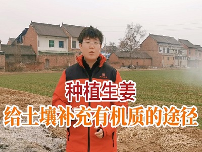 給土壤補充有機質的途徑 ()
