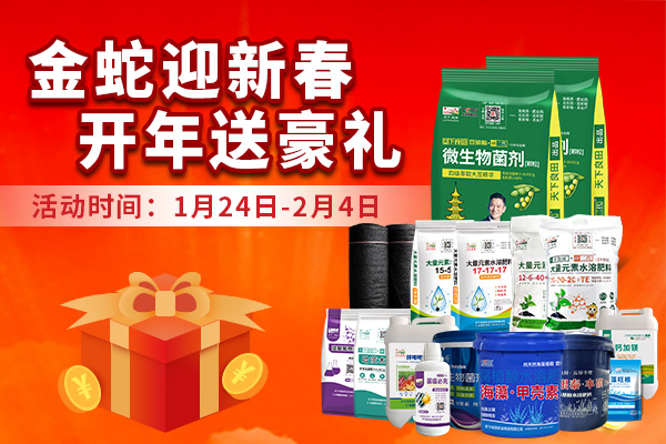 金蛇迎新春 開年送豪禮