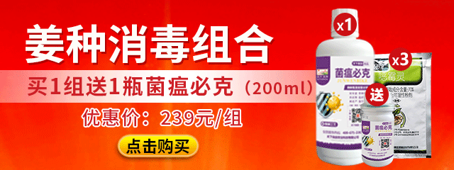 姜種消毒組合