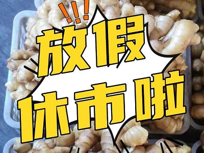 1月24日 生姜價格行情（放假休市啦！） (168播放)