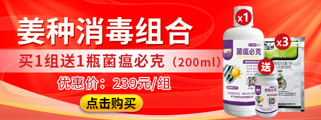 姜種消毒組合