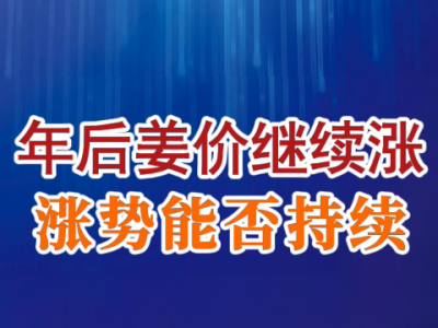 老石說姜：年后姜價繼續漲 漲勢能否持續？ (183播放)