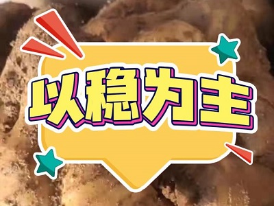2月8日 安丘黑埠子（以穩(wěn)為主） (86播放)
