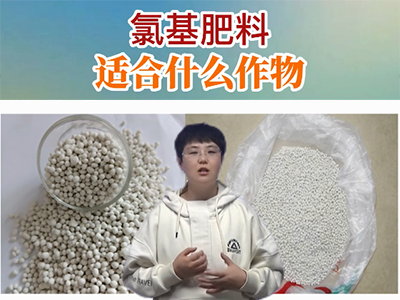 氯基肥料適合什么作物？ ()