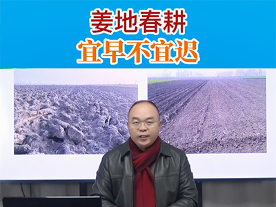 姜地春耕宜早不宜遲 ()