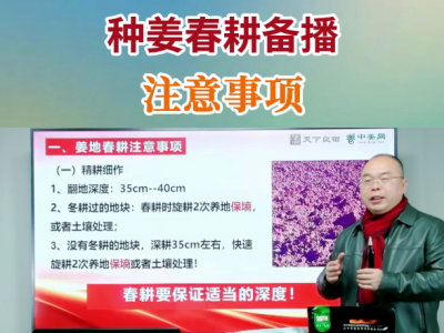 種姜春耕備播注意事項 ()