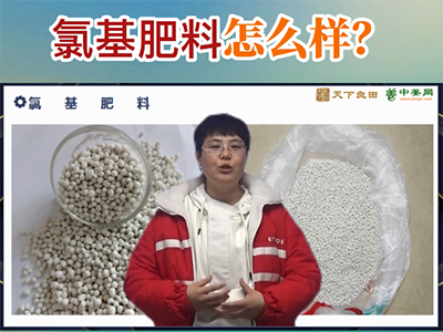 氯基肥料怎公樣？ ()