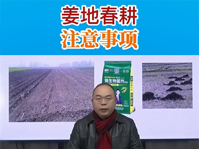 姜地春耕注意事項 ()