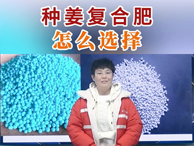 種姜復合肥怎么選擇？ ()