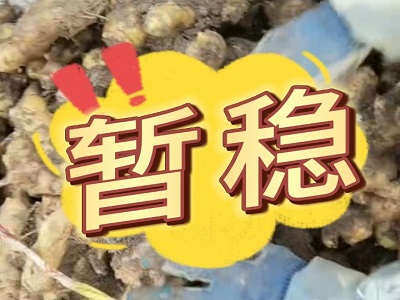 2月17日 安丘黑埠子（暫穩(wěn)） (62播放)