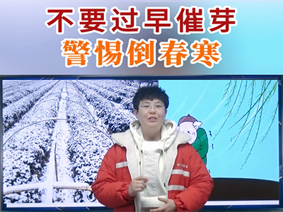 不要過早催芽 警惕倒春寒 ()