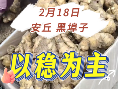 2月18日 安丘黑埠子（以穩(wěn)為主） (48播放)
