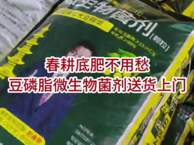 云南姜友豆磷脂微生物菌劑送貨到家 ()