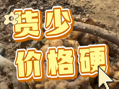 2月20日 安丘黑埠子（貨少價格硬） (43播放)