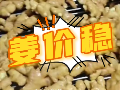 2月21日 生姜價格行情（姜價穩(wěn)） ()