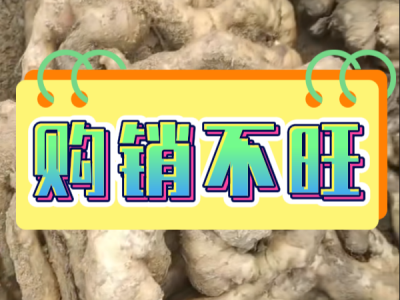 2月22日 安丘黑埠子（購銷不旺） ()