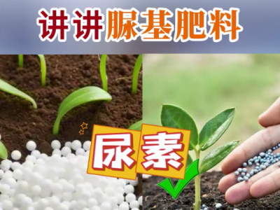 講講脲基肥料 ()