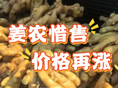 2月25日 生姜價格行情（姜農(nóng)惜售，價格再漲） ()