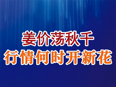 老石說姜：姜價蕩秋千 行情何時開新花？ ()