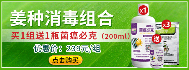 姜種消毒組合