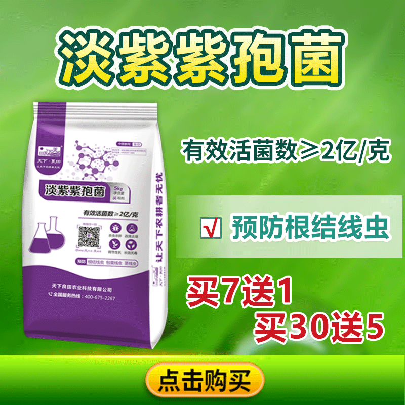 淡紫紫孢菌公眾號800-800