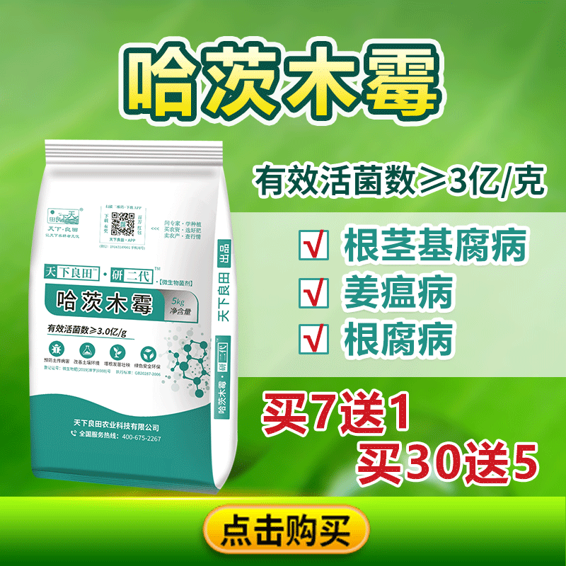 哈茨木霉公眾號800-800