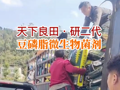 云南姜友25噸豆磷脂微生物菌劑配送到家 ()