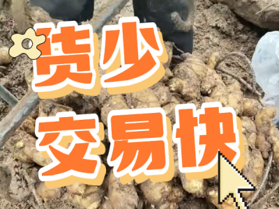 3月3日 安丘黑埠子（貨少，交易快） (14播放)