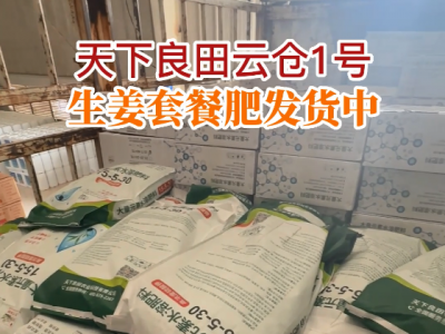 天下良田云倉1號生姜套餐肥發貨中... (161播放)