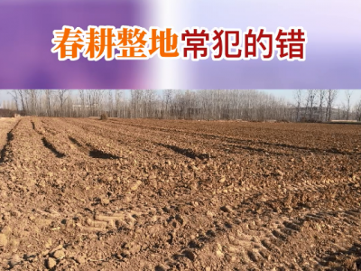 春耕整地常犯的錯(cuò) (140播放)