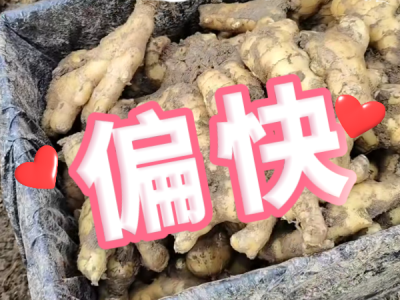 3月14日 安丘黑埠子（偏快） (390播放)