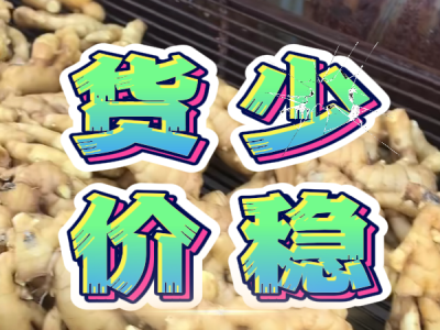 3月14日 生姜價格行情（貨少價穩(wěn)） (346播放)
