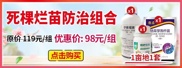 死棵爛苗防治組合