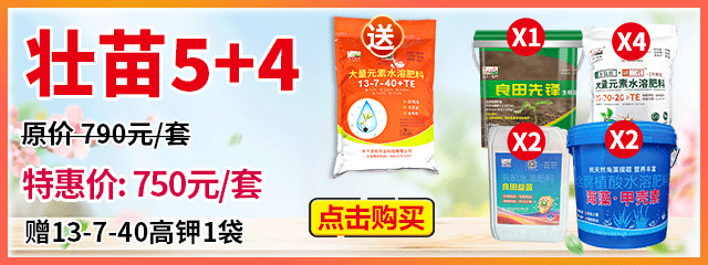 壯苗5+4