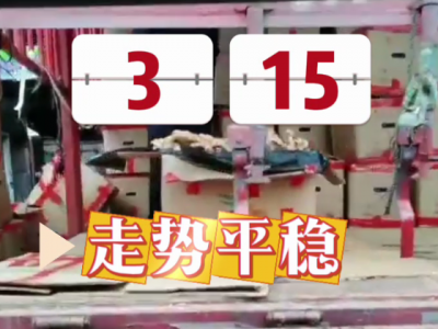 3月15日廣州江南批發(fā)市場生姜價格行情 (210播放)