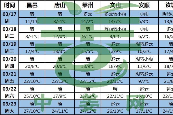 大回暖來了 種姜農(nóng)忙高峰來襲